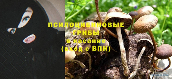 соль курить ск Алексеевка