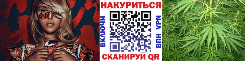Каннабис планчик  цена   Завитинск 